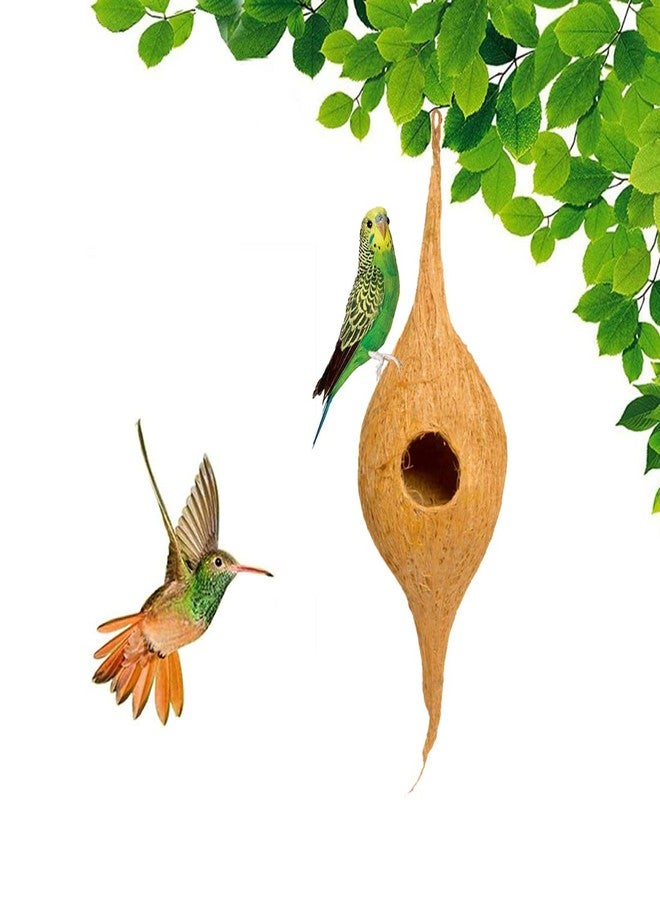 DealFry Handmade Hanging Bird Nest with Single Hole Made of Natural Coir Fiber Coconut Shell, Hanging Bird Nest for Cage and Balcony Birds Sparrows Finches Breeding (Brown | Small) - (Set-5) - Image 4